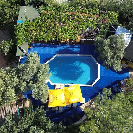 Shiva Camp Hotel Faralya Buitenkant foto