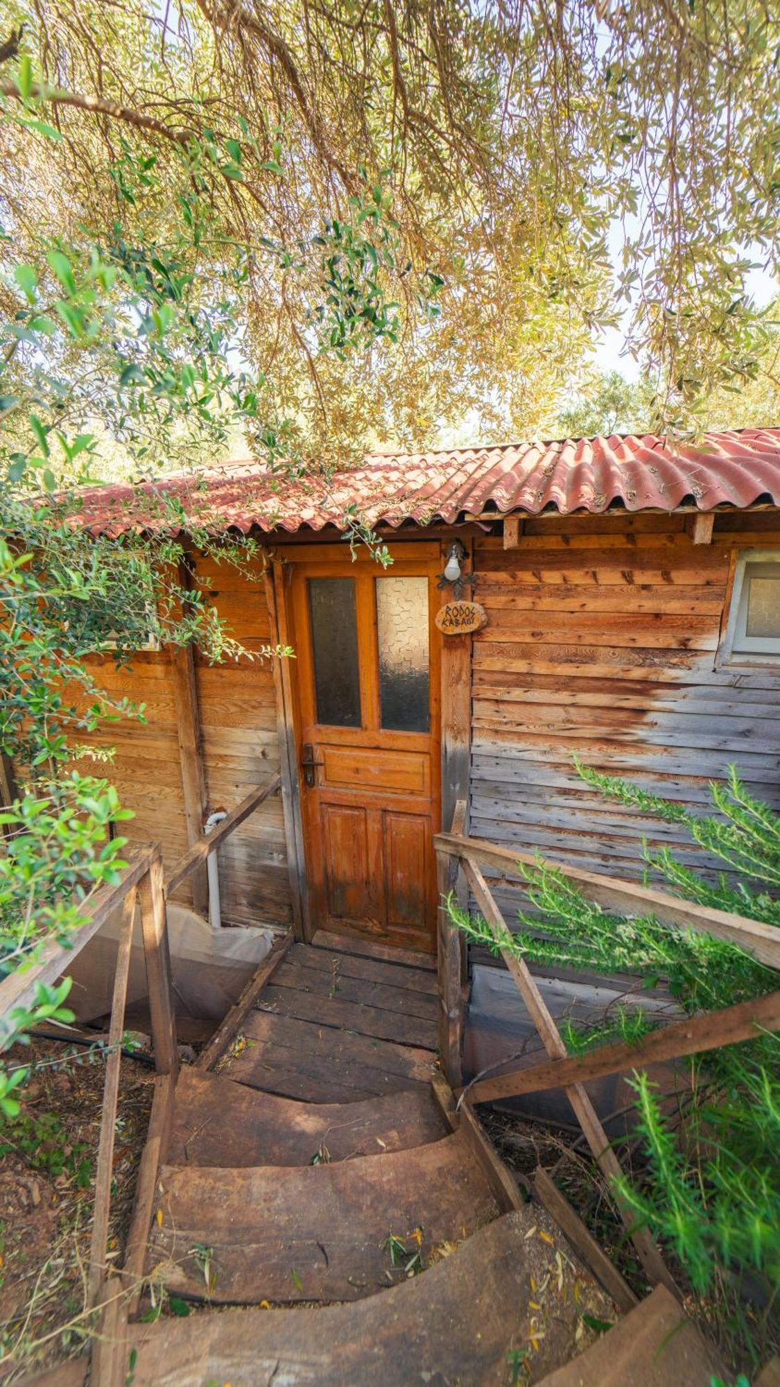 Shiva Camp Hotel Faralya Buitenkant foto