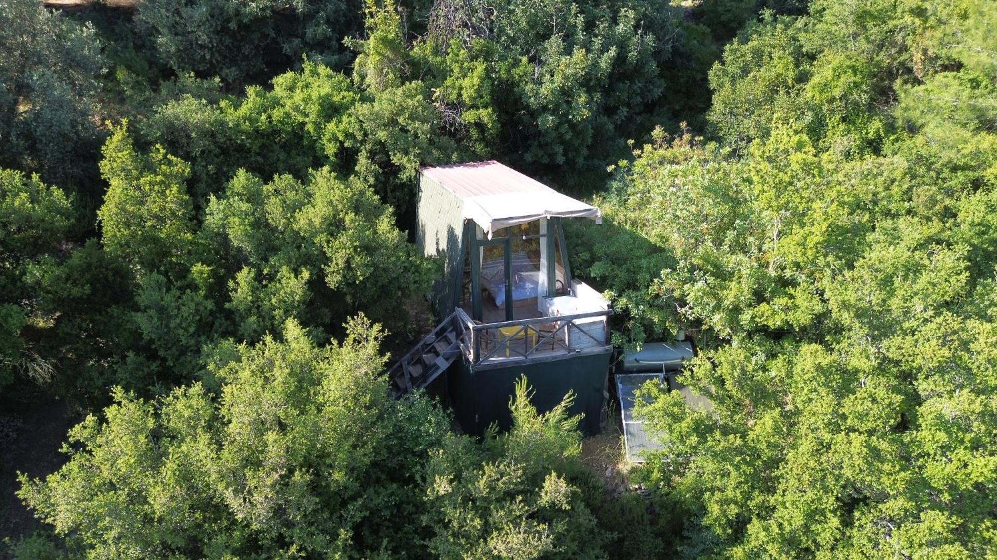 Shiva Camp Hotel Faralya Buitenkant foto