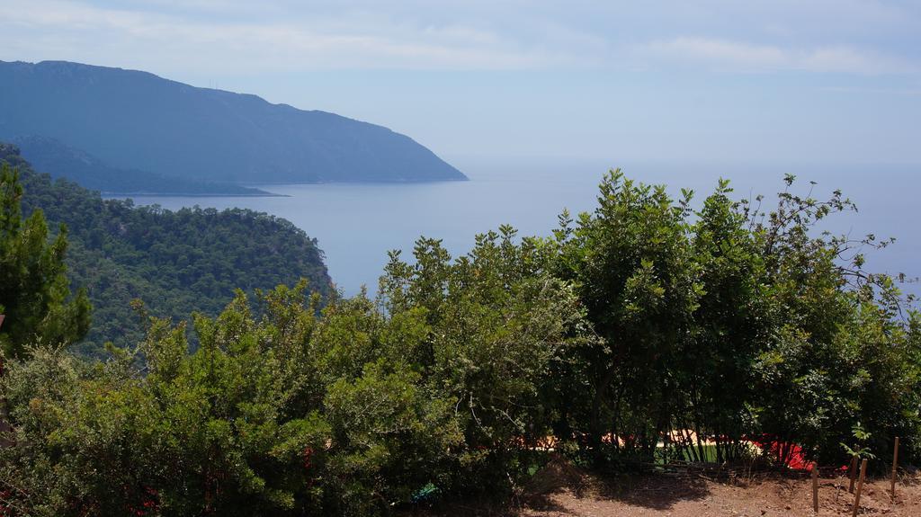 Shiva Camp Hotel Faralya Buitenkant foto