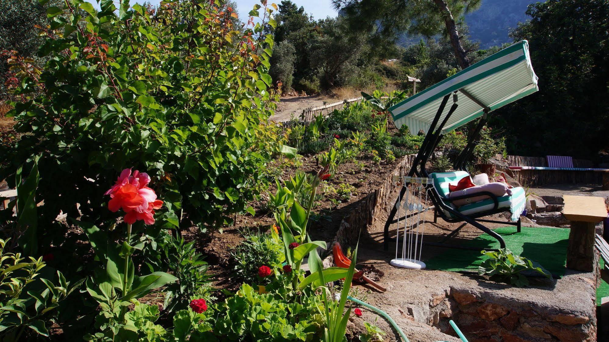 Shiva Camp Hotel Faralya Buitenkant foto